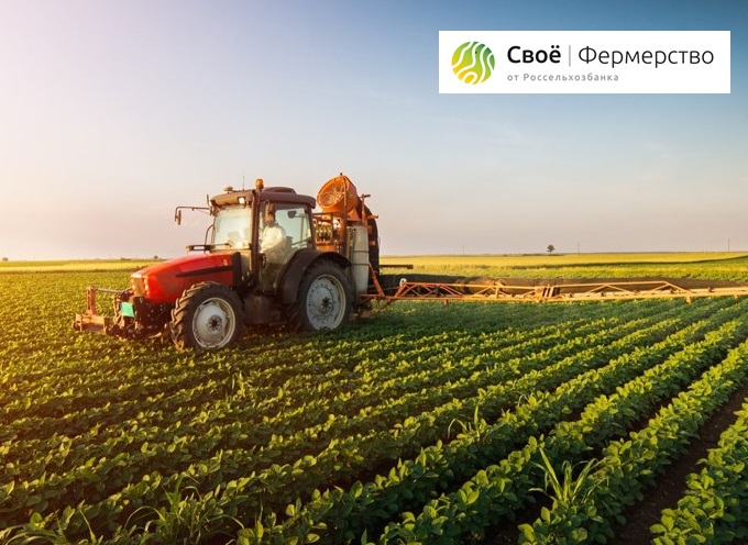 Платформа «свое фермерство» делает фермерскую продукцию доступнее